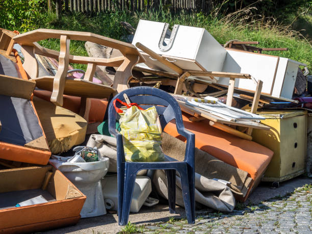 Best Attic Cleanout Services  in Elkins, WV